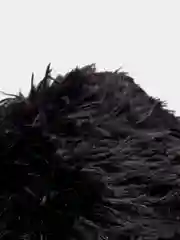 Черный пушистый плед / Яркий плед / Меховой плед / Эконом упаковка
