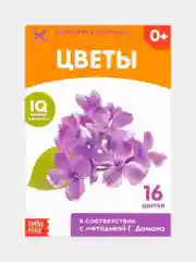 Обучающая книжка (карточки) по методике Г. Домана