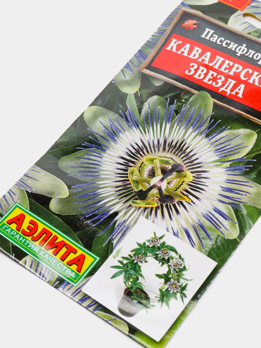 Пассифлора Кавалерская звезда (семена,цветы)