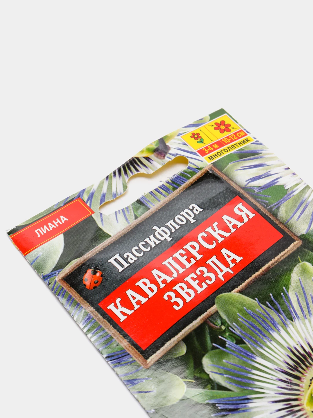 Пассифлора Кавалерская звезда (семена,цветы)