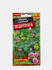 Семена цветы "Мимоза стыдливая Недотрога"