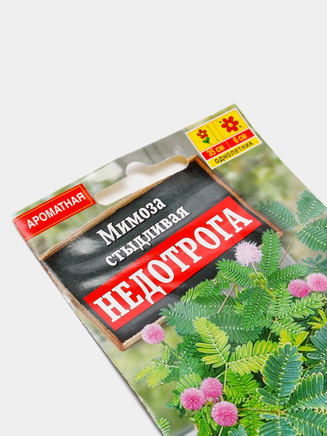 Семена цветы "Мимоза стыдливая Недотрога"