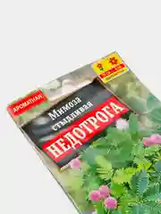 Семена цветы "Мимоза стыдливая Недотрога"
