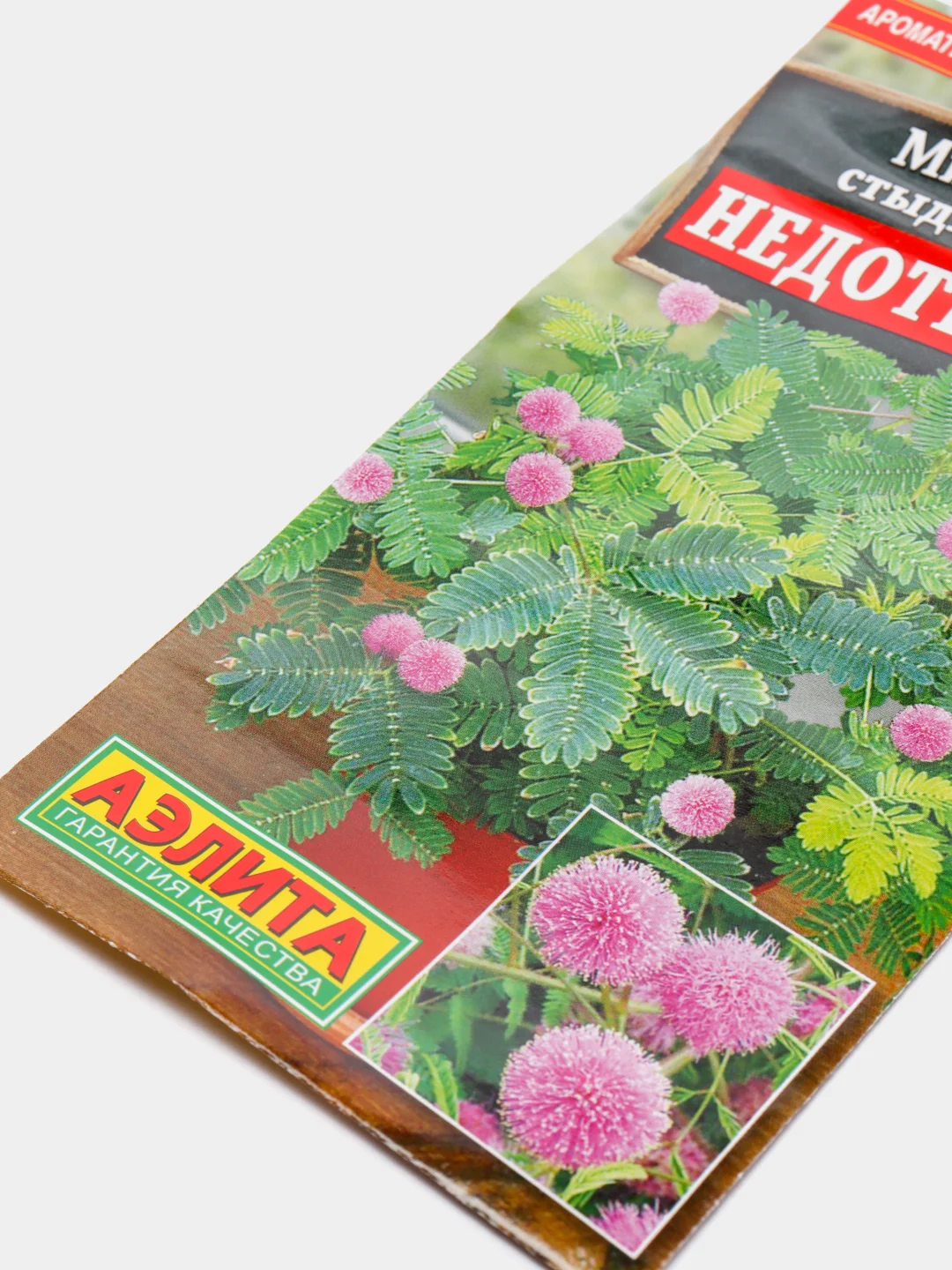 Семена цветы "Мимоза стыдливая Недотрога"