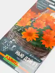 Гацания Нью дэй чистый оранж (семена,цветы)