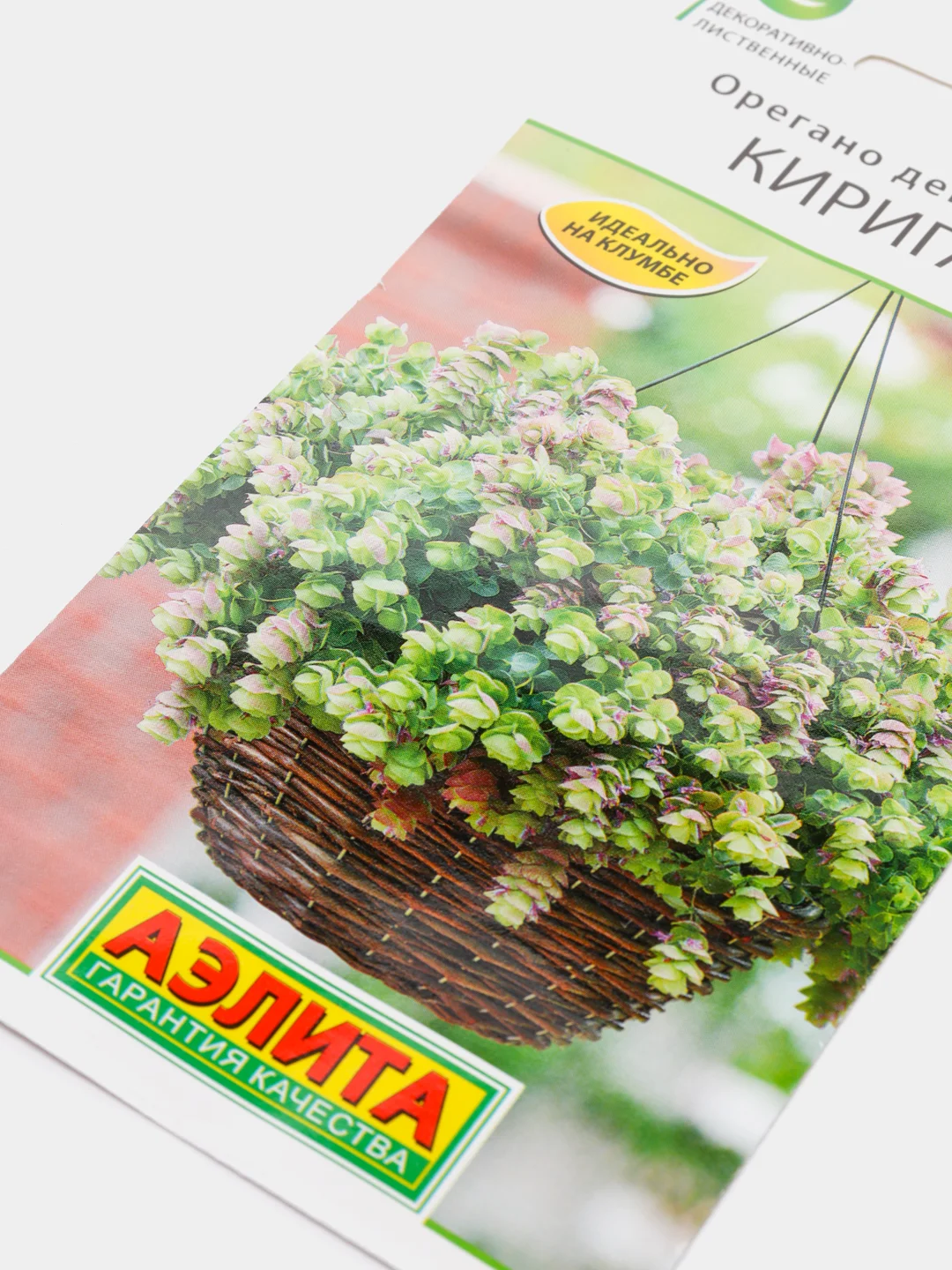 Орегано декоративное Киригами (семена,цветы)