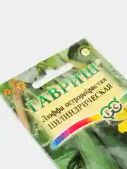 Люффа Цилиндрическая (семена,цветы)