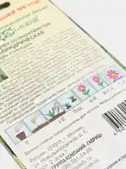 Люффа Цилиндрическая (семена,цветы)