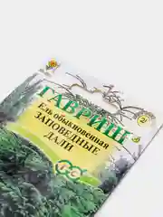 Ель Заповедные дали (семена лесной уголок)
