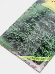 Ель Заповедные дали (семена лесной уголок)