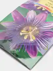 Пассифлора Маэстро (семена,цветы)