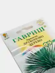Драцена Драконово дерево (семена,цветы)