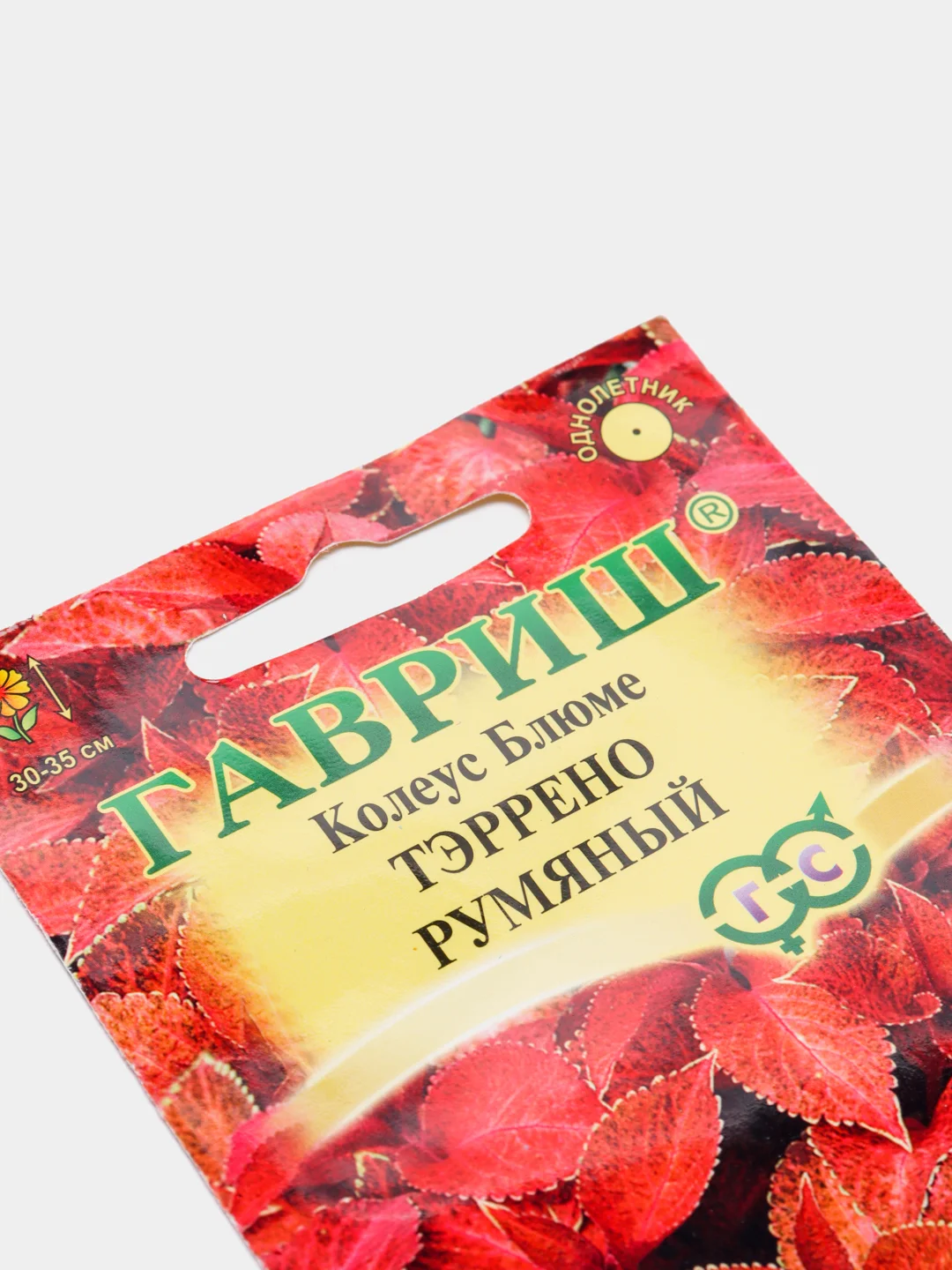 Семена цветов "Колеус Блюме Тэррено румяный"