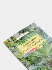Вашингтония мощная Санта барбара (семена,цветы)