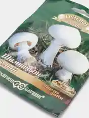 Грибы Шампиньон белый "семена"