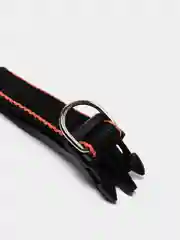 Лазурный ошейник Fashion, капрон 25мм STRONG DOG