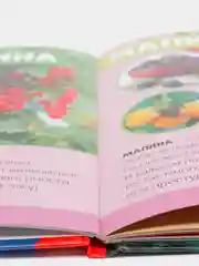 Фото энциклопедия для детей "Мир вокруг нас"