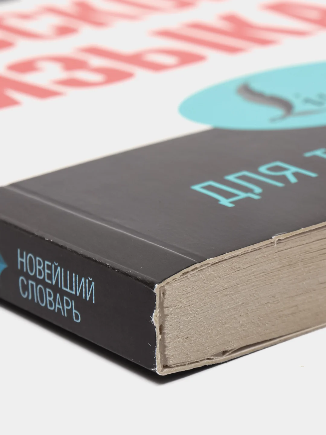 Орфографический словарь русского языка, Ю.В. Алабугина
