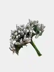 Серебряный тычинки с сахарными вставками в букете