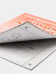 Рабочая тетрадь "Изучаем математику", в 2ух частях, Бурдина С.В