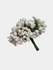 Белый тычинки с сахарными вставками в букете