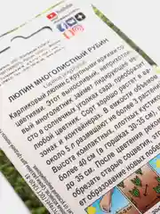 Люпин многолистный РУБИН (семена цветы)