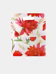 Красный пакет подарочный (5 шт/уп)