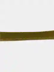 Ошейник для собак брезентовый