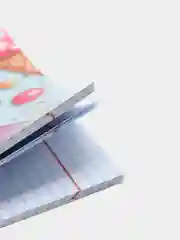 Тетрадь общая Сестры