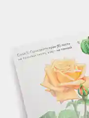 Набор для творчества в технике папертоль. Винтажная роза. Paperlove