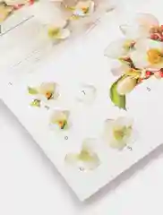 Набор для творчества в технике папертоль. Яблоневый цвет. Paperlove