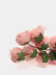 Коралловый розы из фоамирана на проволоке 12 шт