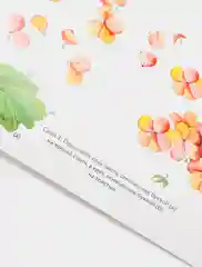 Набор для творчества в технике папертоль. Оранжевая гортензия. Paperlove
