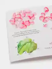 Набор для творчества в технике папертоль. Розовая гортензия. Paperlove