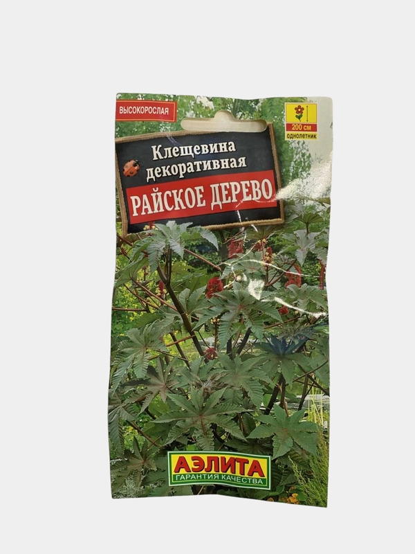 Семена цветы "Клещевина Райское дерево"