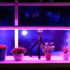 Фито лампа,  светильник для растений,фито свет  FITO 8W, 12W,18W,24W