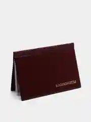 Багровый альбом для банкнот