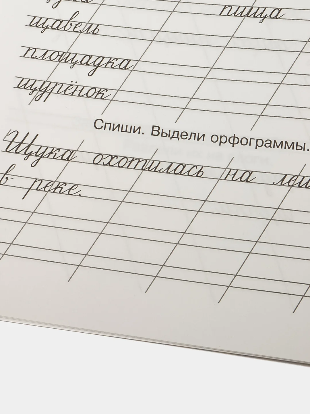 Мои первые школьные прописи. В 4 ч. Ч. 4