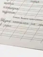 Мои первые школьные прописи. В 4 ч. Ч. 4