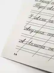 Мои первые школьные прописи. В 4 ч. Ч. 2