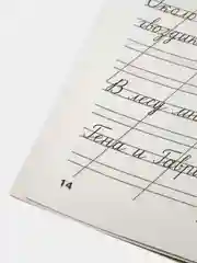 Мои первые школьные прописи. В 4 ч. Ч. 3