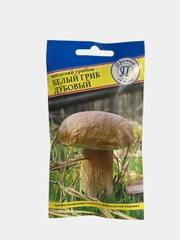 Семена мицелий грибов "Белый гриб дубовый"