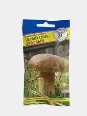 Семена мицелий грибов "Белый гриб дубовый"