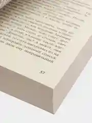 Грозовой перевал, Бронте Э.