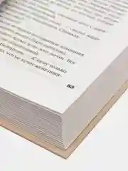 Истребитель, Дмитрий Быков