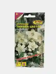 Семена цветы "Морозник Зимний цветок"