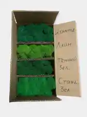 Мох стабилизированный, ассорти 4 цвета по 50г
