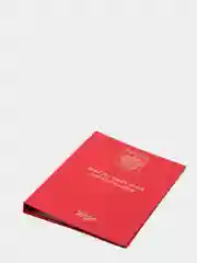 Красный папка "Магистерская диссертация", без листов, А4