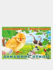 Книга детская о животных