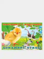 Алый книга детская о животных